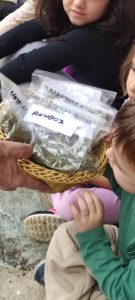 f44f6f7e cbdf 4ede b318 feab42c20d5e