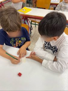 IMG 3499