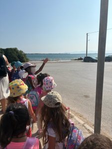 IMG 4799