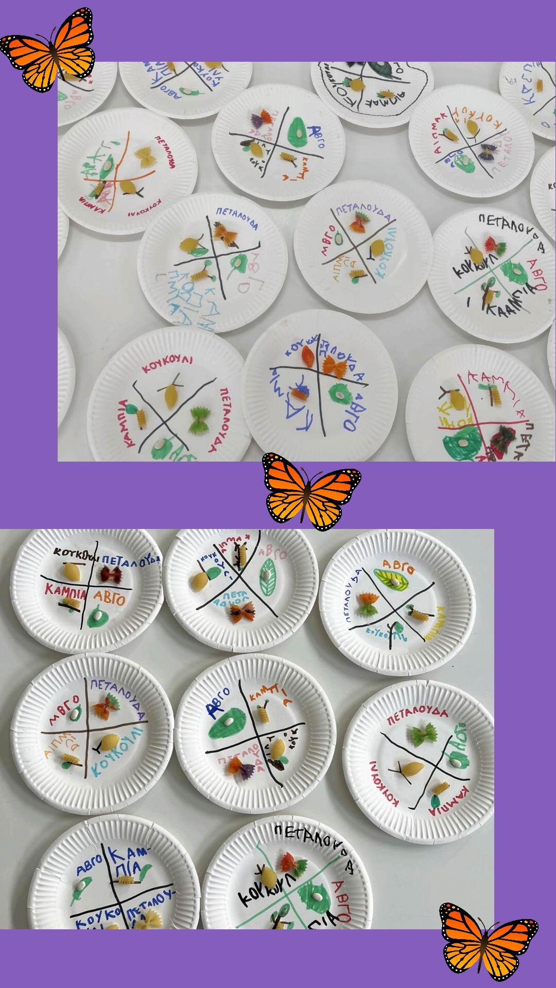 butterflycycle
