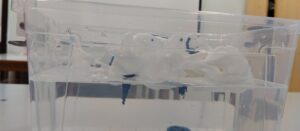 thumbnail IMG 0913