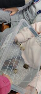 thumbnail IMG 0983