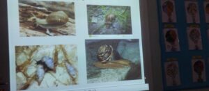 thumbnail IMG 0984