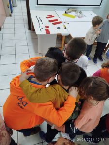 IMG 3565