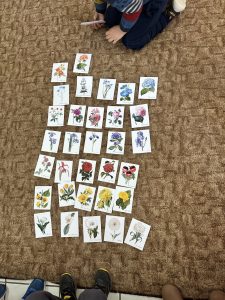 IMG 3579