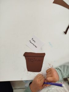IMG 3597