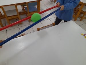 IMG 3619