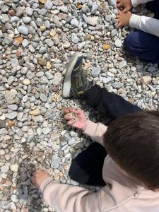 img 11 1746640235787