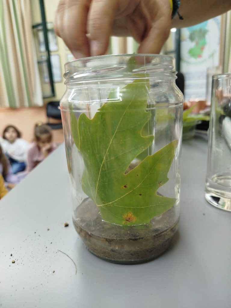 IMG c6840bee920de5aaba9f4f1e4f10367c V 1