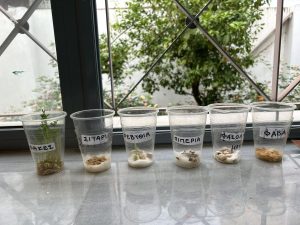 0462aad1e5c47aef53074efa8d05dcb9