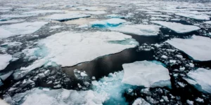 liosimo pagon 1 11 21.jpg