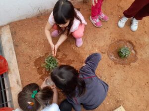 0 02 05 ce212deea1aa0a053b9f7b7b8c51d700cd5a9776f19a503555557d94ec20bf37 8065964e4a8a4c3f