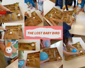 The lost baby bird