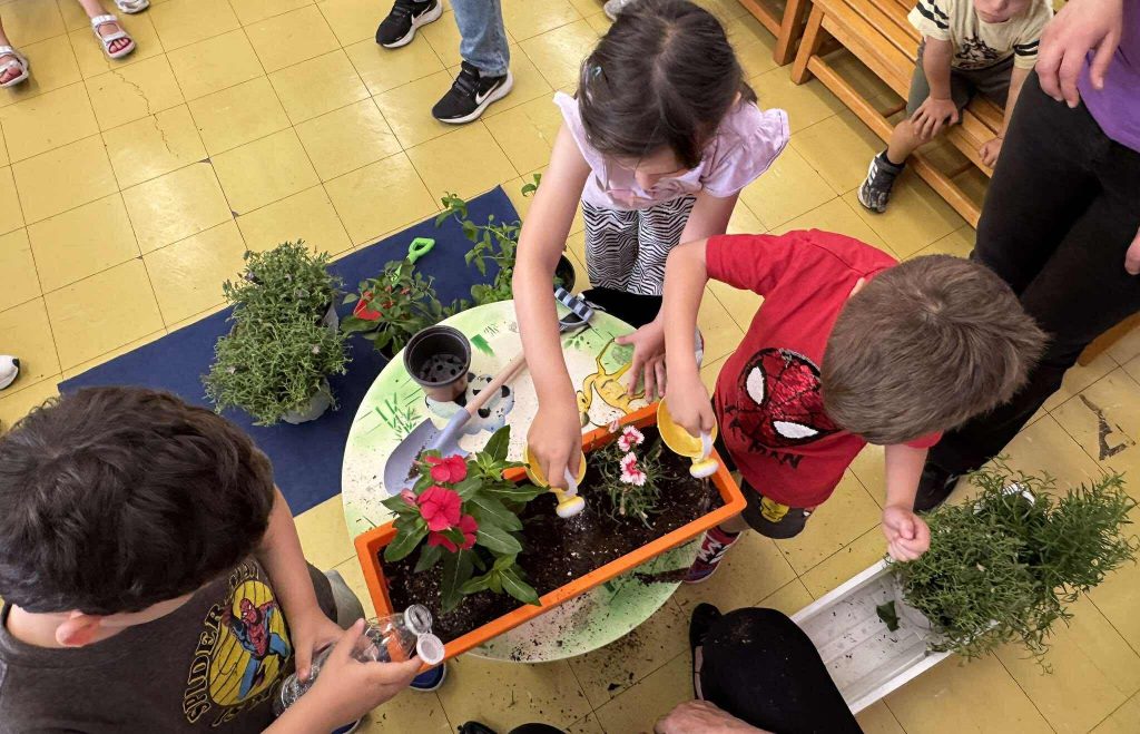 9e9c21d7b2adbd2a85ae94626ecfff66