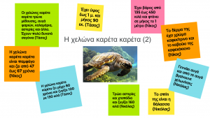 χελώνα καρέτα καρέτα 2