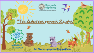 Το Δάσος Πηγή Ζωής