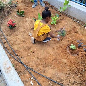 IMG a846aea376802b54c65e312cd3c1adec V 1