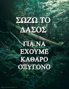 ΔΑΣΟΣ 6