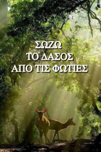 ΔΑΣΟΣ 7