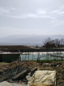 IMG 20250313 120357