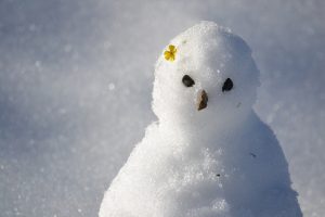 snowman