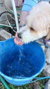 εικόνα Viber 2024 04 04 21 13 50 085 1