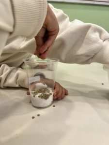 675C2A72 9A28 4D9A BC8E 07E49B2CE546