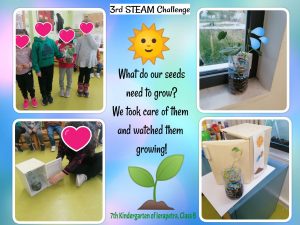 3rd STEAM Challenge