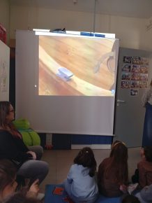 IMG 20250327 113407