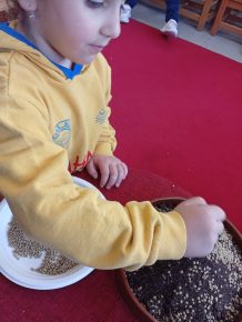 IMG 20250328 111839