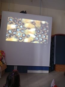 IMG 20250512 102944