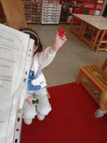 IMG 20250129 123855