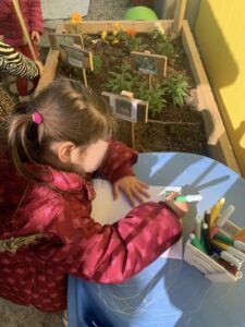 338008082 550488090562317 1622177567698609255 n 1