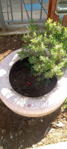 490805710 10232328617731317 5538239463867548987 n