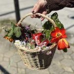 fd7e28f5 e77e 4f82 9d06 977addd33ea2