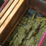 16e026bc 4f69 43b7 8326 dc275543b475