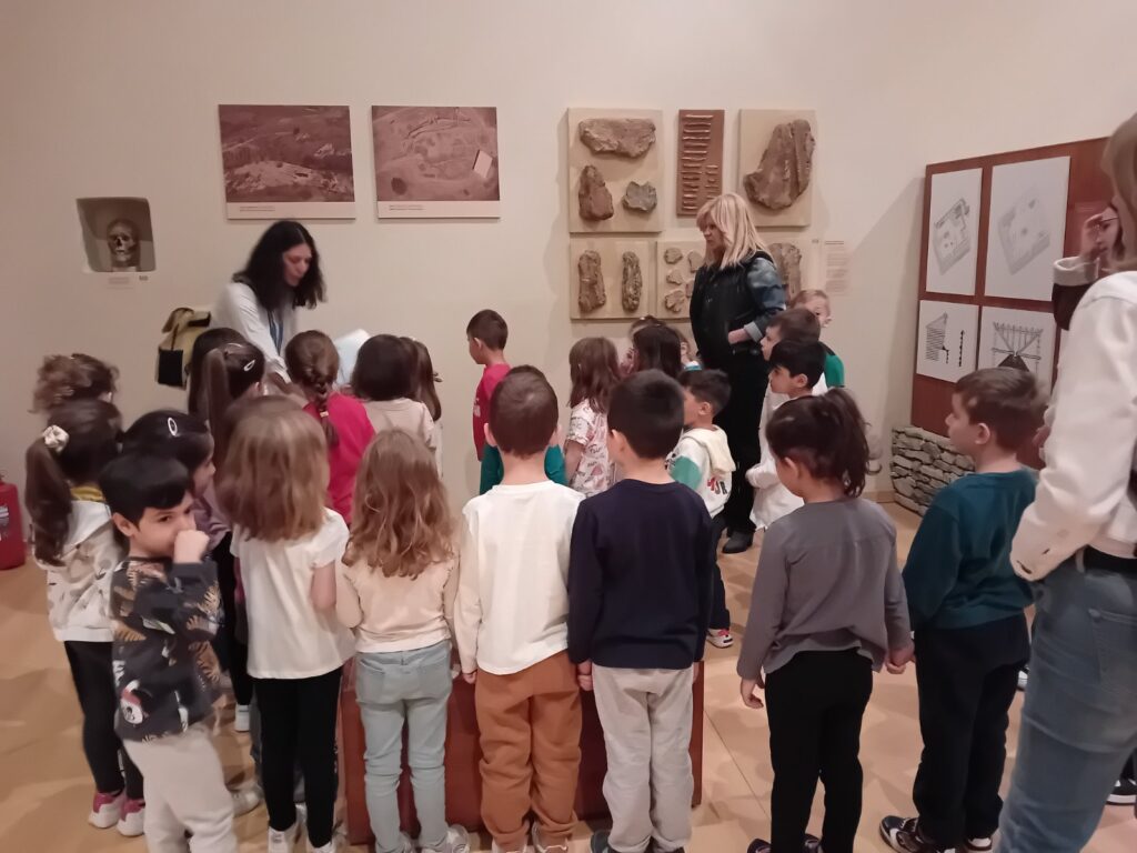 IMG 8d25d13fdbad3aba311679efea83eaef V