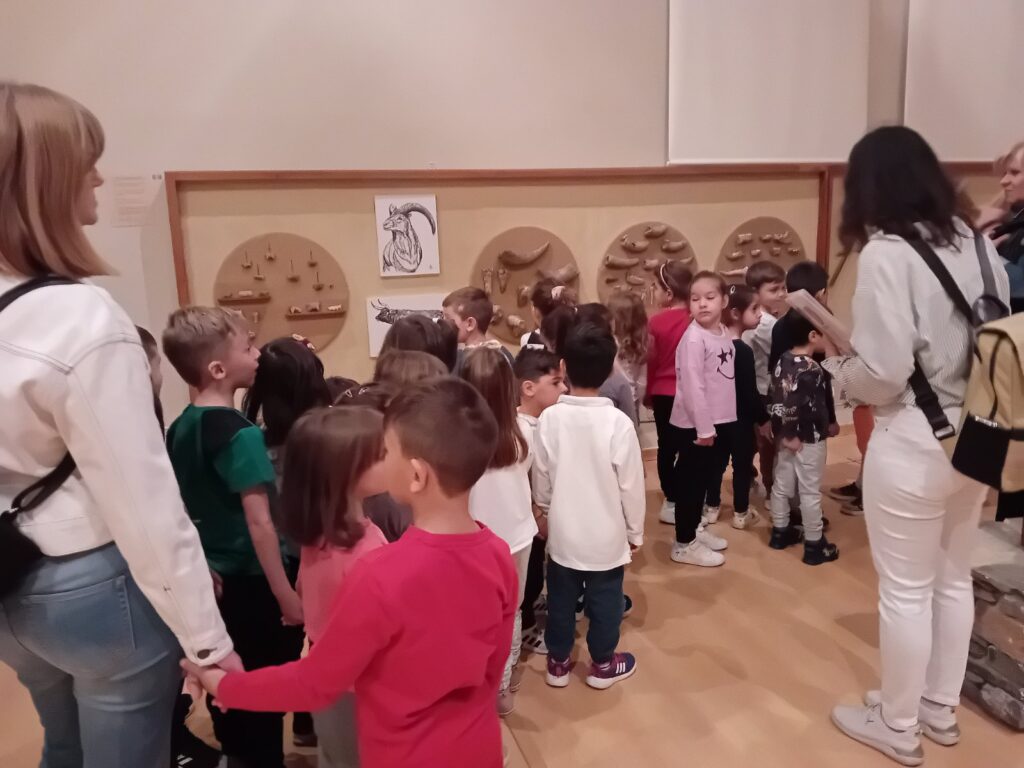 IMG bbd2d8a7ad778a9c65fcb38b769d3d17 V