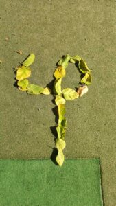 IMG e04d5e158a437f17c31db80898e4bf06 V