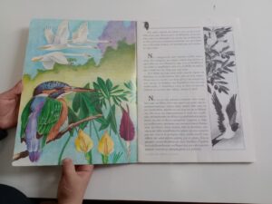 0 02 05 c938766f5d546379e5d87a5f8b9594bfd8887c9d0bc746af64cd52a0c4d6917c 295206a09e6e0340