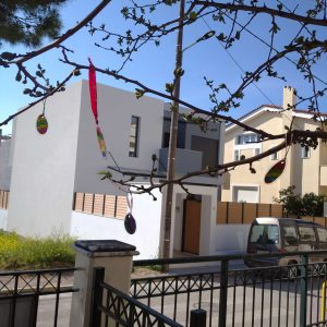 IMG 21e67a4f44b65b28c6b4001ff5708dd9 V