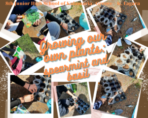 Growing our own plants 8th Junior High School of Kalamaria