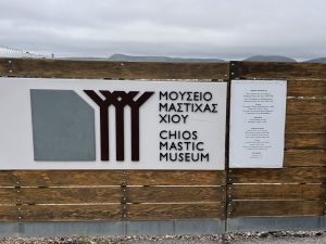 IMG 0955