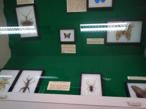 Messenger creation 3FE59EE7 7B0B 46EE 8573 6E62FD6CCFE9