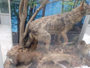 Messenger creation E115BE8D 22F8 4612 8752 0DBC3193105F