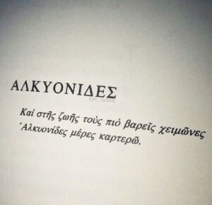 αλκυονιδες1