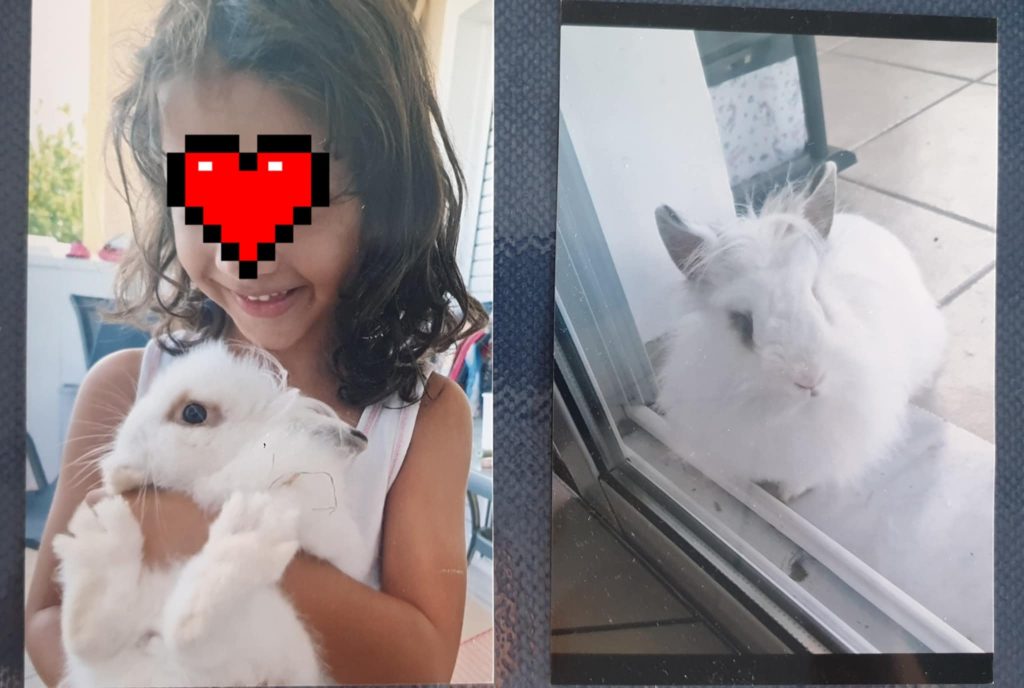 09e91b08 2bcd 4e3c b436 88b4e4879c7d