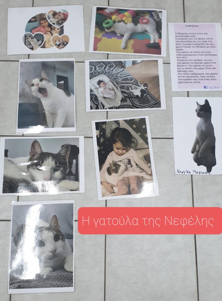 6ea8210c 2a46 4b28 96f9 49c0bbfffd10