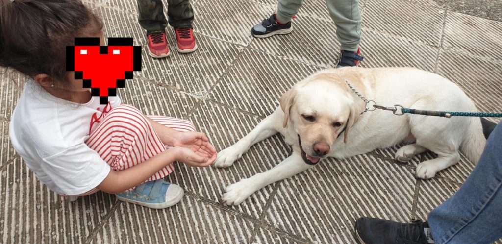 a538e9e7 f838 4265 9869 b7c05f5e9915