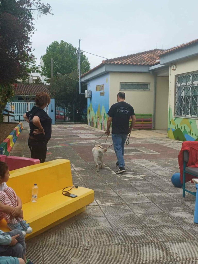 ccf10d57 6c83 475c 9933 27ed9c1f2bea